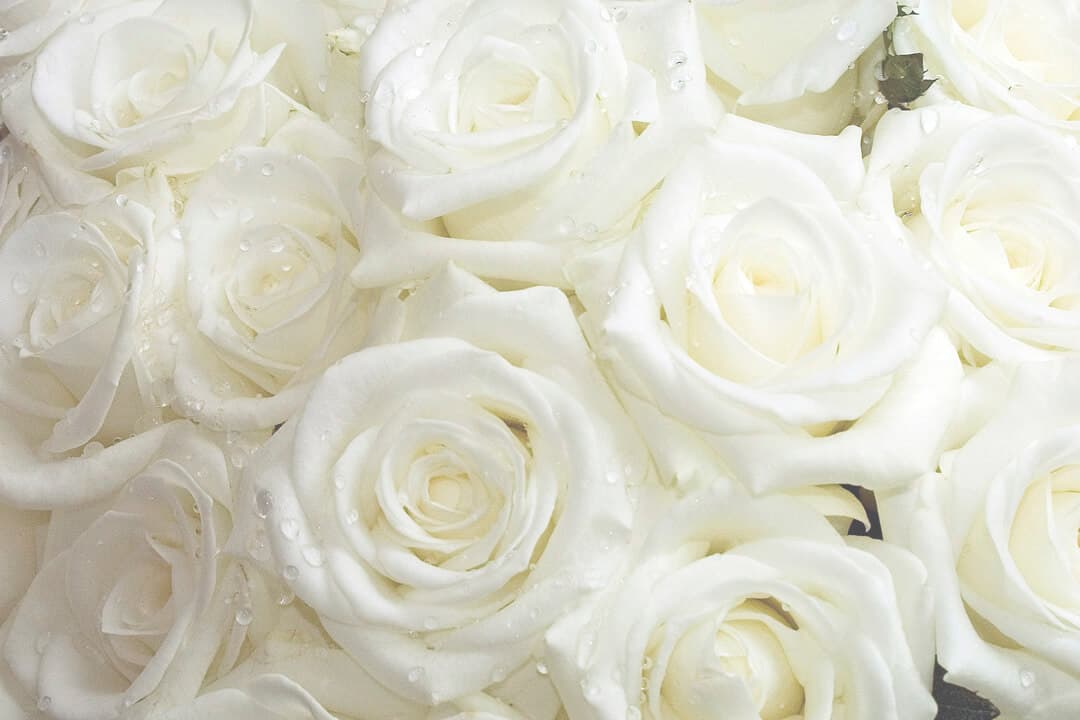 Memorial arrangement of white roses